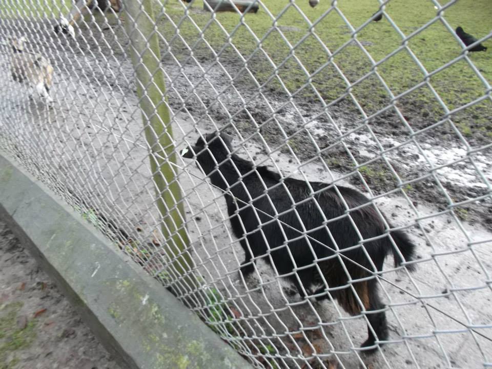 Sint-Martinus den XIIde - Winterkamp JVK '14